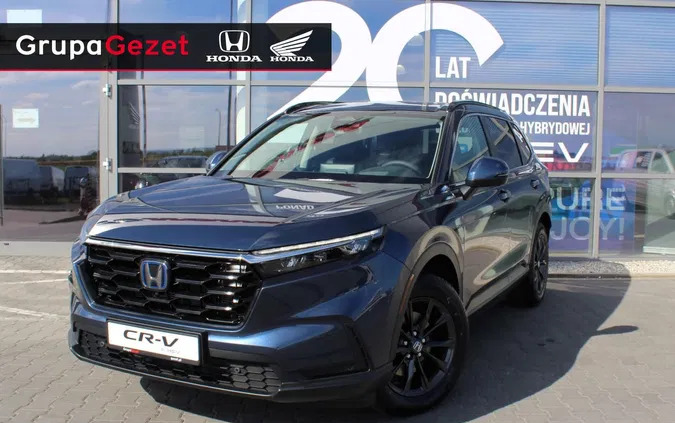 lubuskie Honda CR-V cena 252900 przebieg: 5, rok produkcji 2024 z Biała Rawska